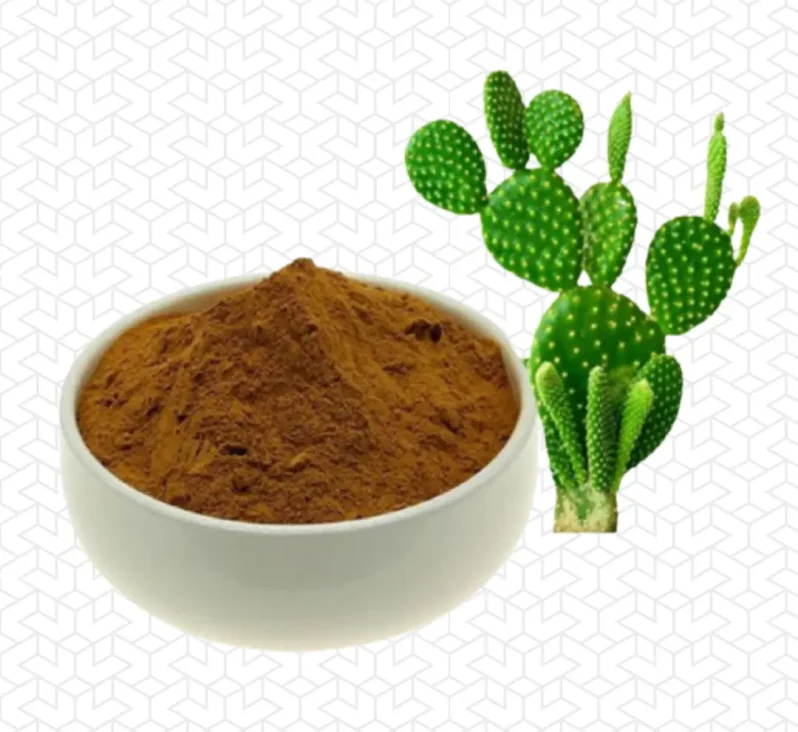 hoodia-Extract-Inchlos.webp